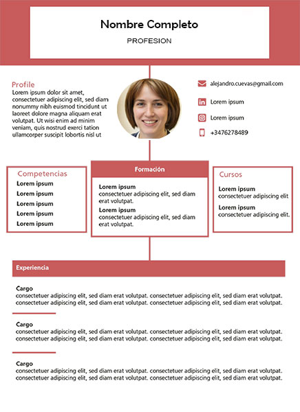 plantilla currículum diseñador web